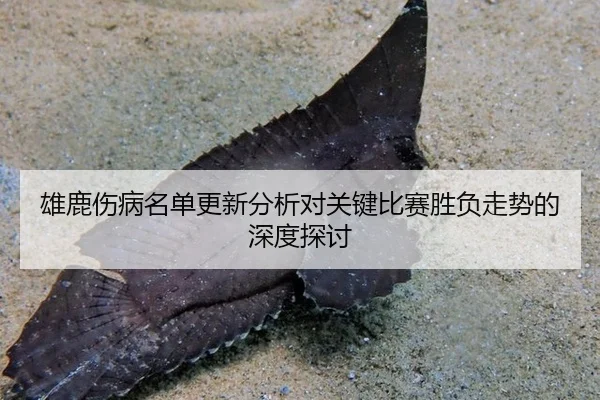 雄鹿伤病名单更新分析对关键比赛胜负走势的深度探讨