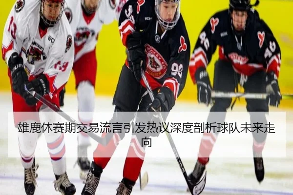 xiong-lu-xiu-sai-qi-jiao-yi-liu-yan-yin-fa-re-yi-shen-du-pou-xi-qiu-dui-wei-lai-zou-xiang-2-373.jpg